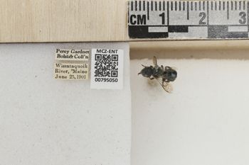 Media type: image;   Entomology 795050 Aspect: Labels